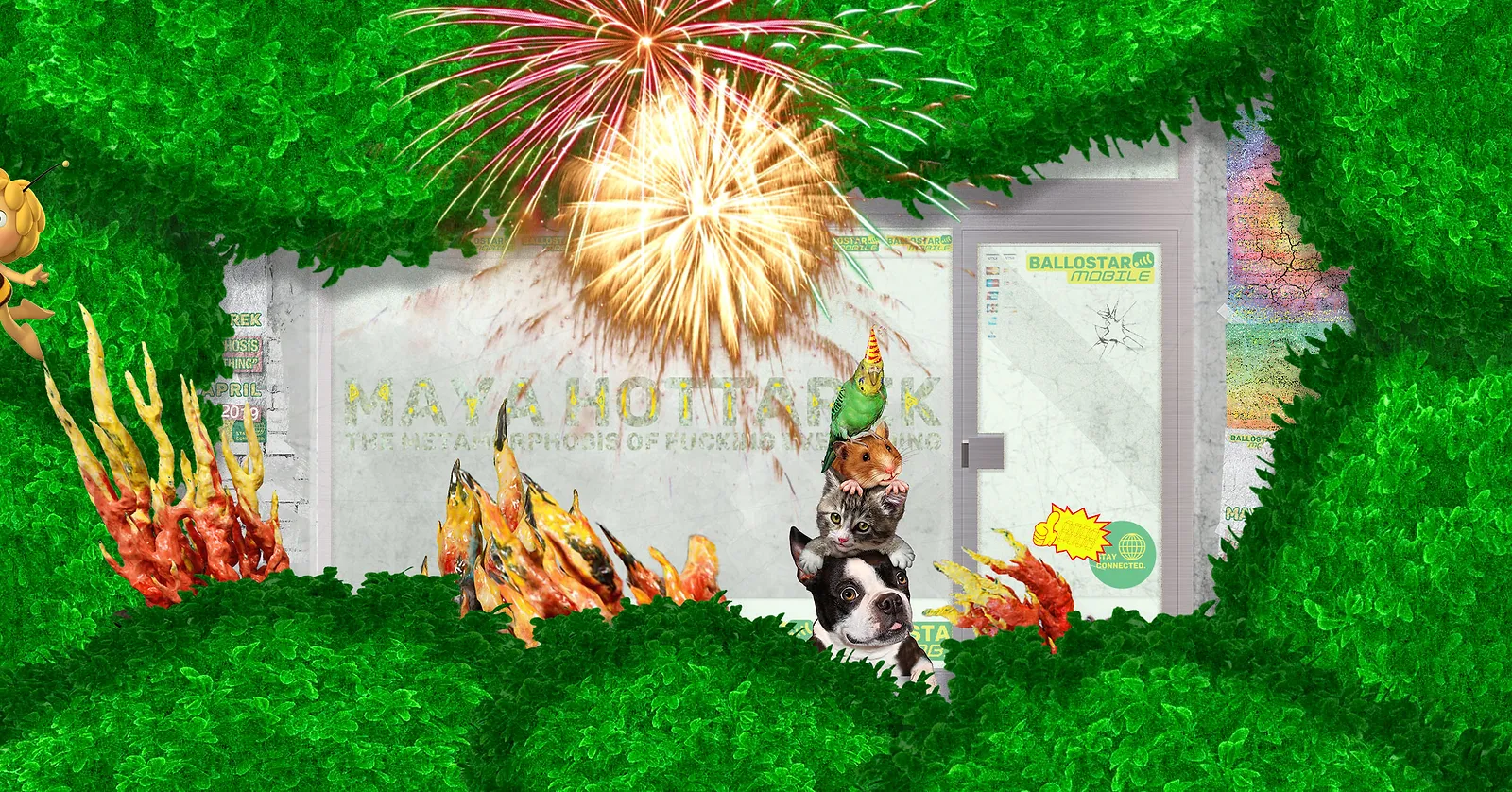 Einladungsfenster MAYA.jpg